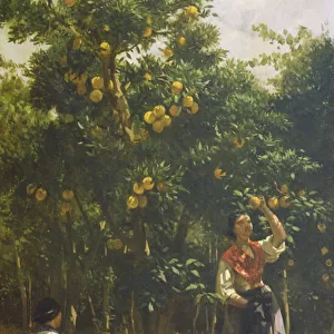 Orange Trees with Women (oil on canvas)