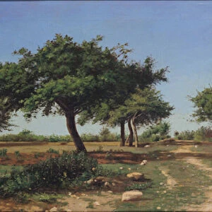 Path through the Apples Trees (oil)