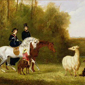 Queen Victoria, Prince Albert and the Prince of Wales at Windsor Park with their Herd of