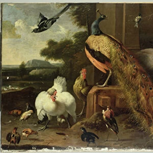 Revolt in the Poultry Coup (oil on canvas)