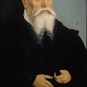 Self portrait, 1550 (oil on panel)