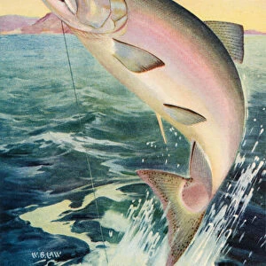 Sport Fishing: Leaping King Salmon, 1950 (colour litho)