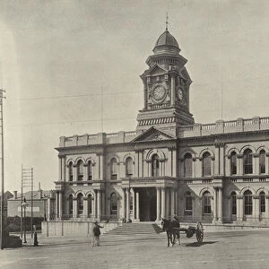 The Town Hall, Port Elizabeth (b / w photo)