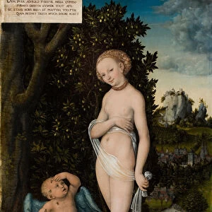 Venus with Cupid Stealing Honey, 1530 (oil on panel)