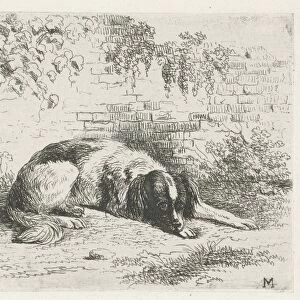 Reclining dog in front of a wall, Christiaan Wilhelmus Moorrees, 1811-1867