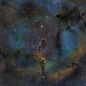 IC 1396, the Elephant Trunk Nebula
