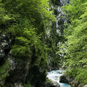 Tolminka river flowing through Tolminska korita, Triglav National Park, Slovenia