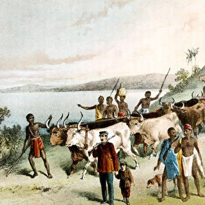 David Livingstone, Scottish missionary and African explorer, 1849 (c1878)