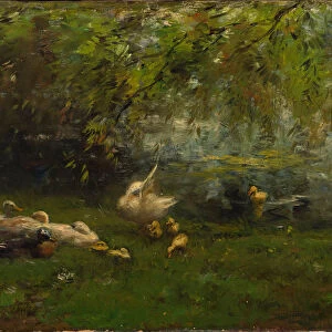 Duck heaven. Artist: Maris, Willem (1844-1910)