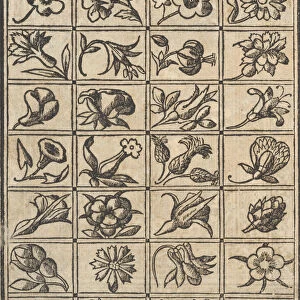 Essempio di recammi, page 10 (verso), 1530. Creator: Giovanni Antonio Tagliente