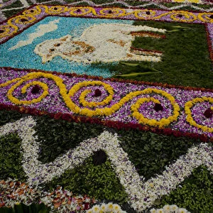 Holy Week Surco Flower Carpet, Lima, Peru, 2015. Creator: Luis Rosendo