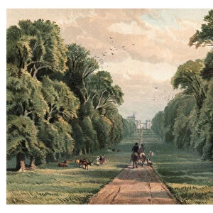Long Walk, Windsor Park, 1880