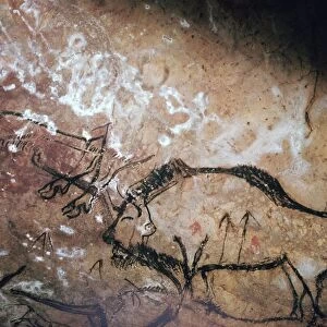 Neolithic cave-painting of a wounded bison