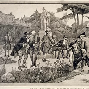 The Old Physic Garden of the Society of Apothecaries at Chelsea, 1750, 1890. Artist