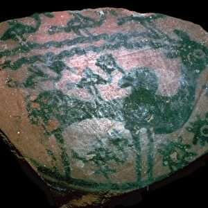 Pakistani sherd painted with stylised humped bull, 18th century BC
