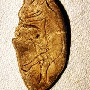 Paleolithic Engraving on bone of a Man from Mas d Azil, France, c50, 000BC-c10, 000 BC