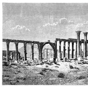A ruined colonnade at Palmyra (Tadmur), Syria, 1895
