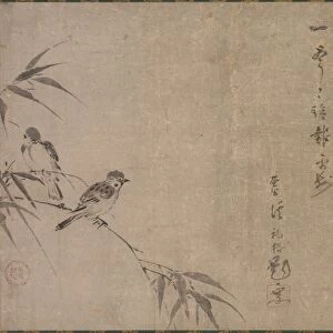 Sparrows and Bamboo, mid- to late 1500s. Creator: Shiken Seid? (Japanese, 1486-1581)