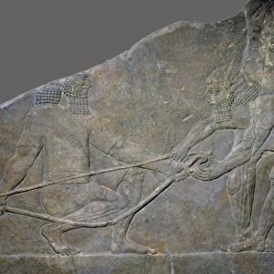 Stone panel from the North Palace of Ashurbanipal, Nineveh, northern Iraq, Neo-Assyrian, c645 BC