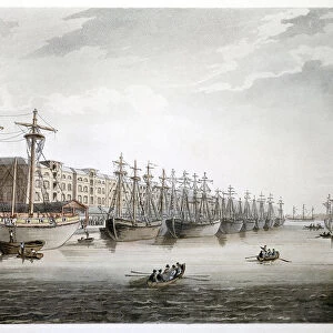 West India Docks, London, 1808-1810. Artist: Augustus Charles Pugin