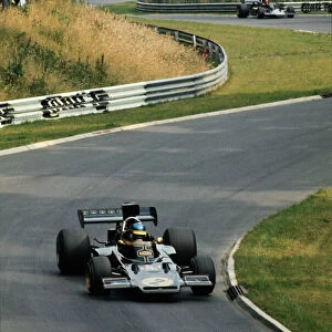 1973 German Grand Prix