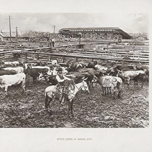 Stock yards, Kansas City, Missouri, USA, in the late 19th century. From the book The United States of America - One Hundred Albertype Illustrations From Recent Negatives of the Most Noted Scenes of Our Country, published 1893; Kansas City, Missouri, United States of America