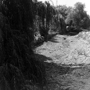 Death of a river July 1976 The Darent at Farningham