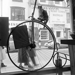 People stand and stare in the window of the Penny Farthing Coffee Bar at Brighton