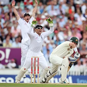 Marcus North Is Out Lbw As England Celebrate