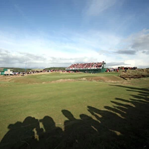Silhouettes Around 16th Green