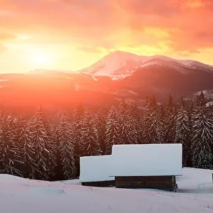 Fantastic landscape with snowy mountains, trees and house. Carpathians, Ukraine, Europe