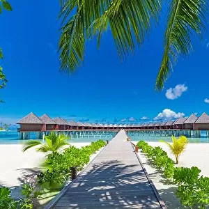Luxury travel destination. Amazing summer beach landscape, water villas under palm trees, white sand and blue sky. Idyllic vacation leisure holiday