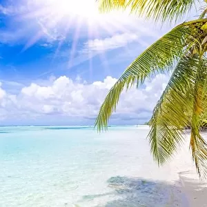 Summer vacation background with tropical beach with rays of sun light and leaf palm. Exotic landscape, dream travel destination
