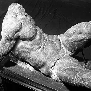 Stone torso, attributed to Michelangelo Buonarroti, in the gallery of the Casa Buonarroti, Florence
