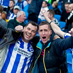 Brighton & Hove Albion: Reliving the Excitement of the 2012-13 Season - Home Game vs. Birmingham City