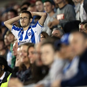 A Glance Back: Exciting 2012-13 Home Game - Brighton & Hove Albion vs. Birmingham City