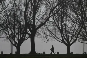 : CANBERRA COLD WEATHER STOCK
