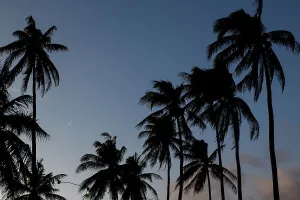 : CHRISTMAS ISLAND DAILY LIFE