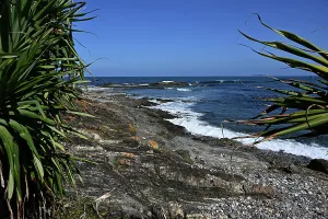 : COASTAL STOCK