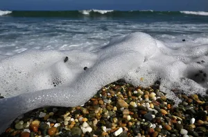 : COASTAL STOCK