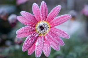 : COLD WEATHER CANBERRA