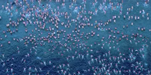 DARK MOFO WINTER SOLSTICE SWIM HOBART