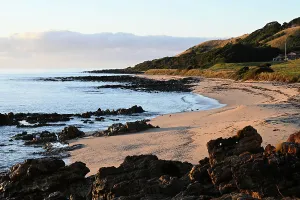 : KING ISLAND STOCK