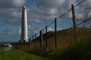 : KING ISLAND STOCK