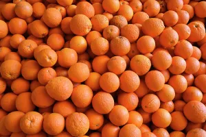 : LEETON FRUITPICKING FEATURE