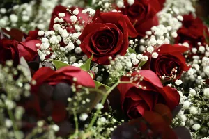 Images Dated: MELBOURNE VALENTINES DAY FEATURE