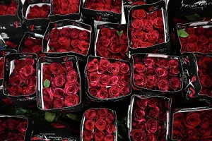 Editor's Picks: MELBOURNE VALENTINES DAY FEATURE