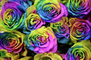 Images Dated: MELBOURNE VALENTINES DAY FEATURE