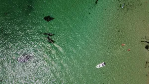 Images Dated: MORNINGTON PENINSULA STOCK