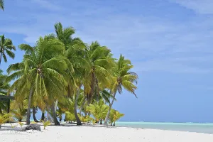 : PACIFIC ISLANDS STOCK